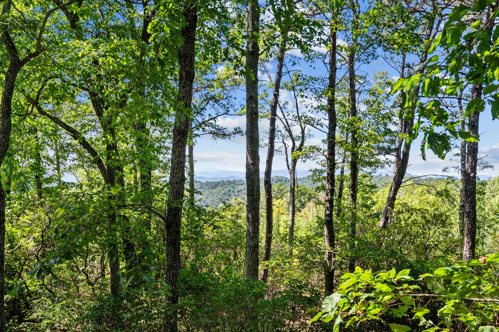 Scenic view of rolling mountain ranges and dense forest landscape with blue sky