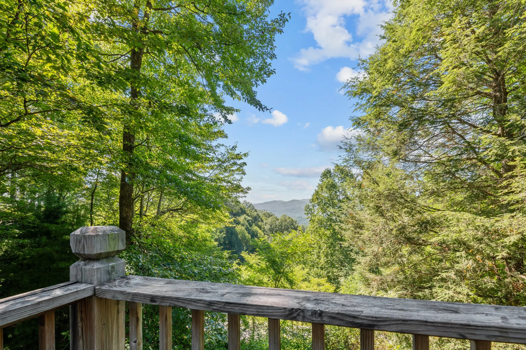 Scenic mountain valley vista framed by lush forest canopy from cabin deck